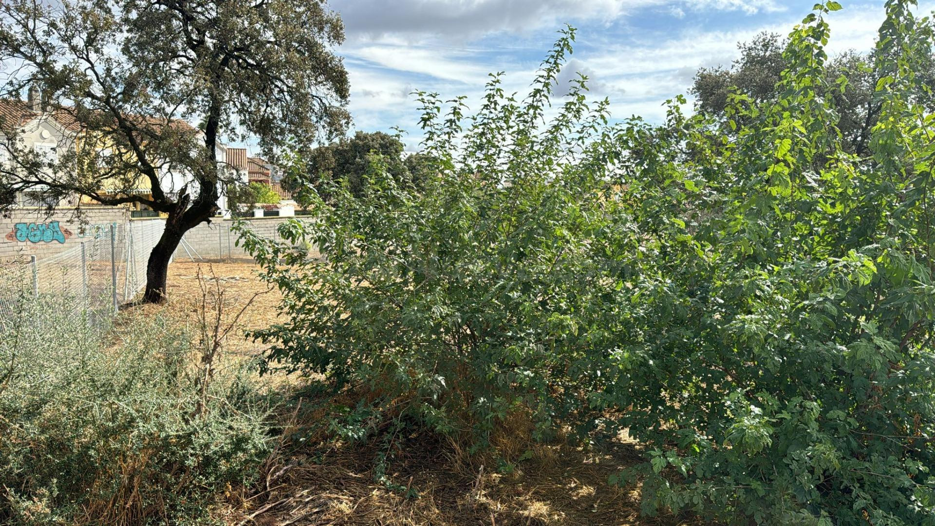 TERRENO URBANO EN LA ZONA DE LA COLINA - foto 3