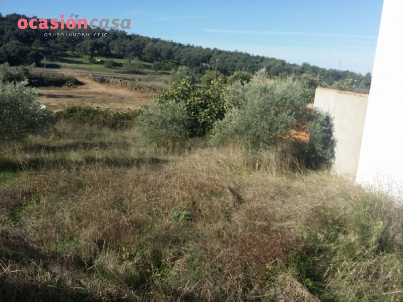 Solar en venta - Fuente obejuna - foto 3