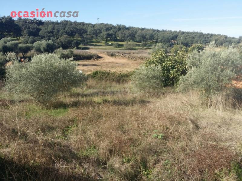 Solar en venta - Fuente obejuna - foto 4
