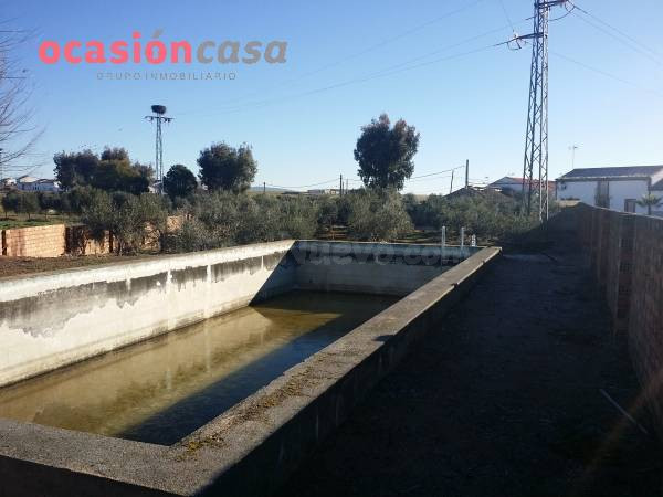Parcela en venta - Valsequillo - foto 3