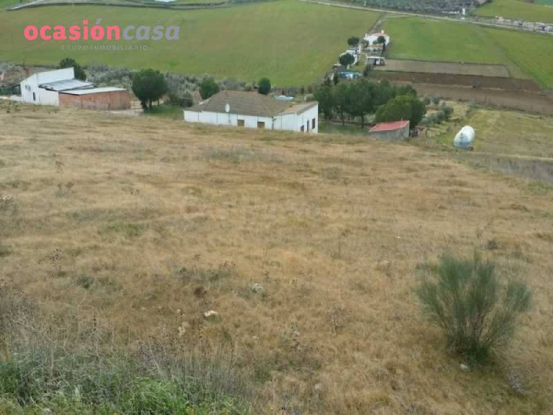 Parcela en venta - Fuente obejuna