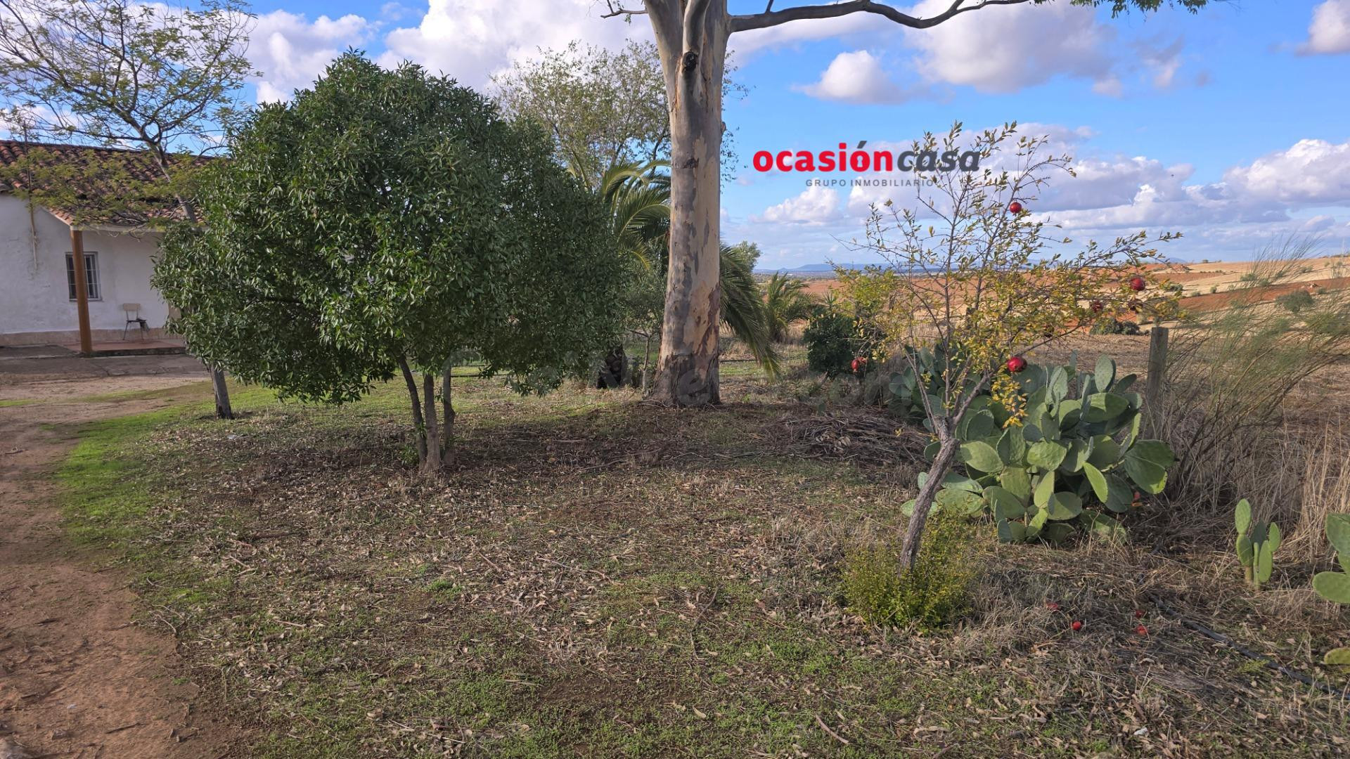 PARCELA CON CASA Y ALBERCA A LA VENTA - foto 5
