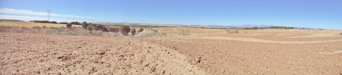 Terreno rural en venta - ALTOS JARAMA