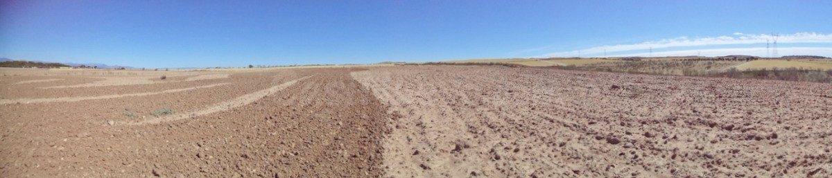 Terreno rural en venta - ALTOS JARAMA - foto 4