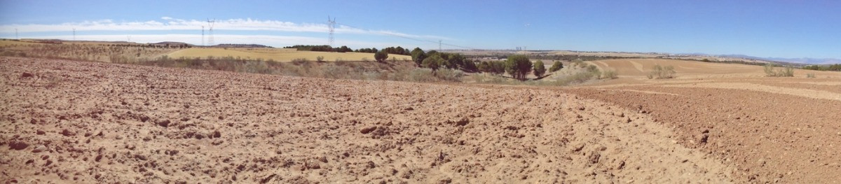 Terreno rural en venta - ALTOS JARAMA - foto 5