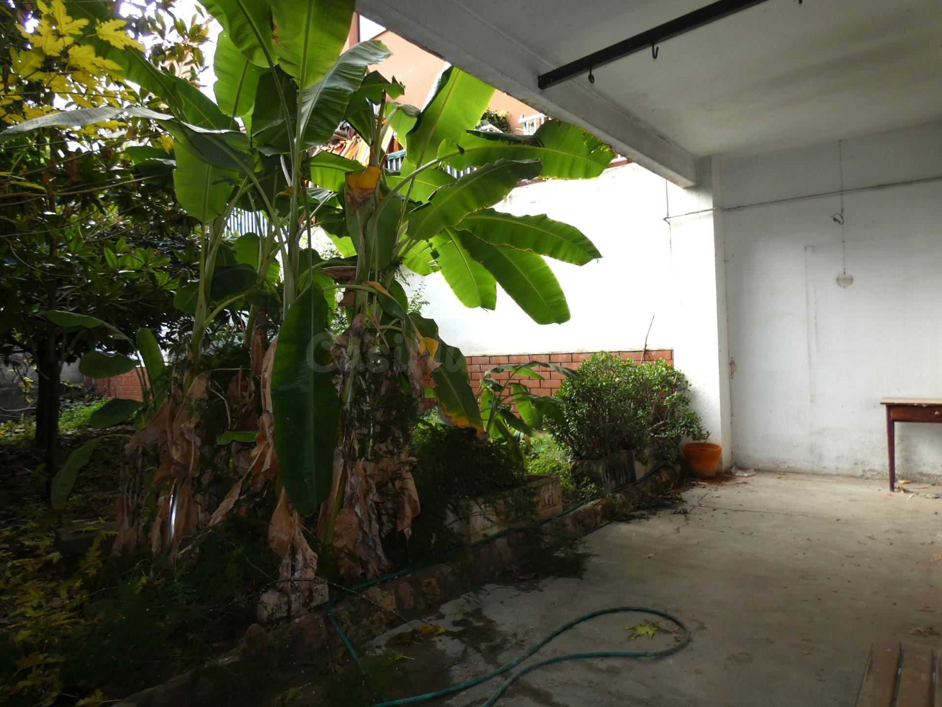 LOCAL CAMBIO DE USO A VIVIENDA. PLANTA BAJA CON TERRAZA - CO - foto 2