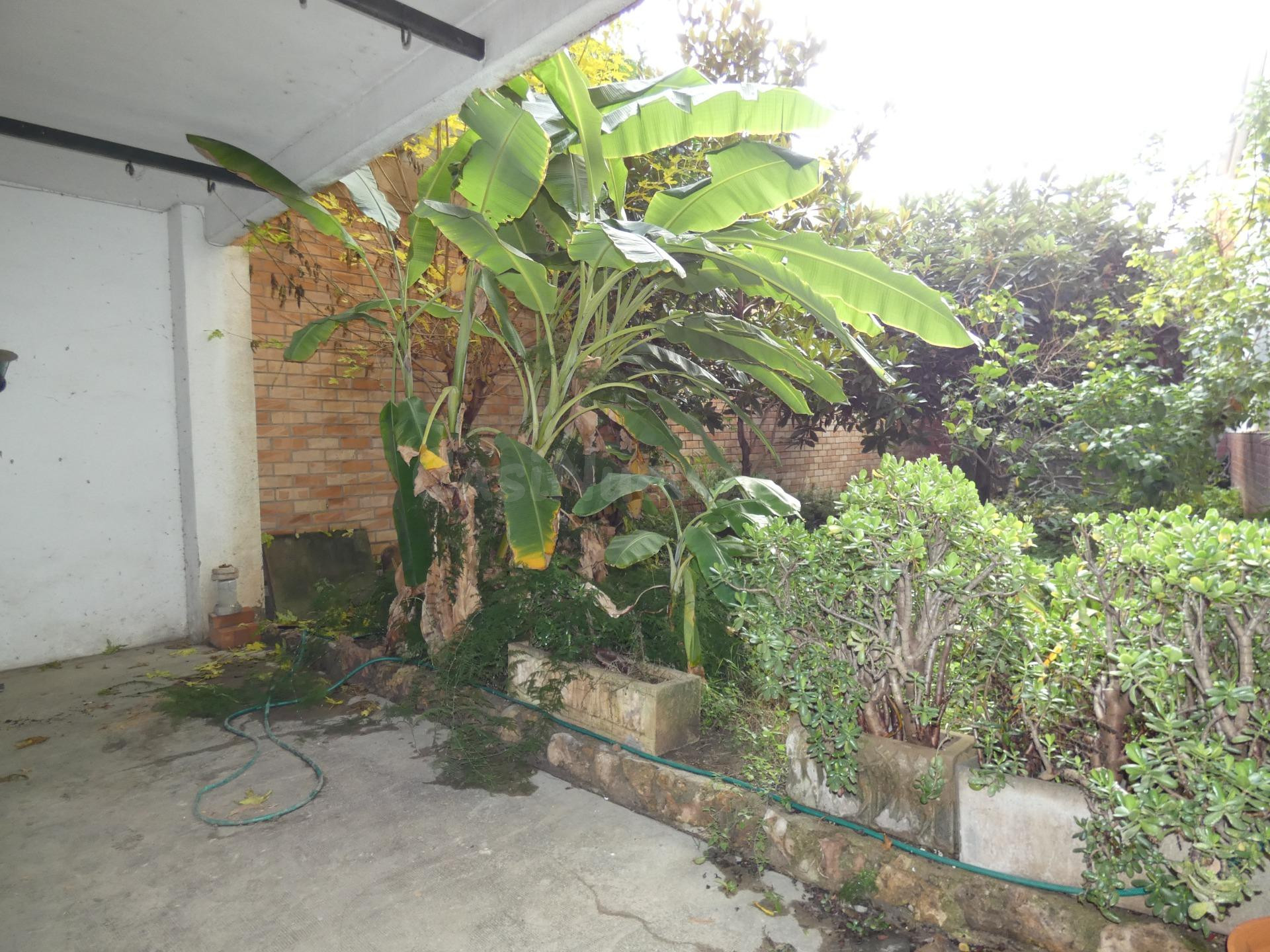 LOCAL CAMBIO DE USO A VIVIENDA. PLANTA BAJA CON TERRAZA - CO - foto 4