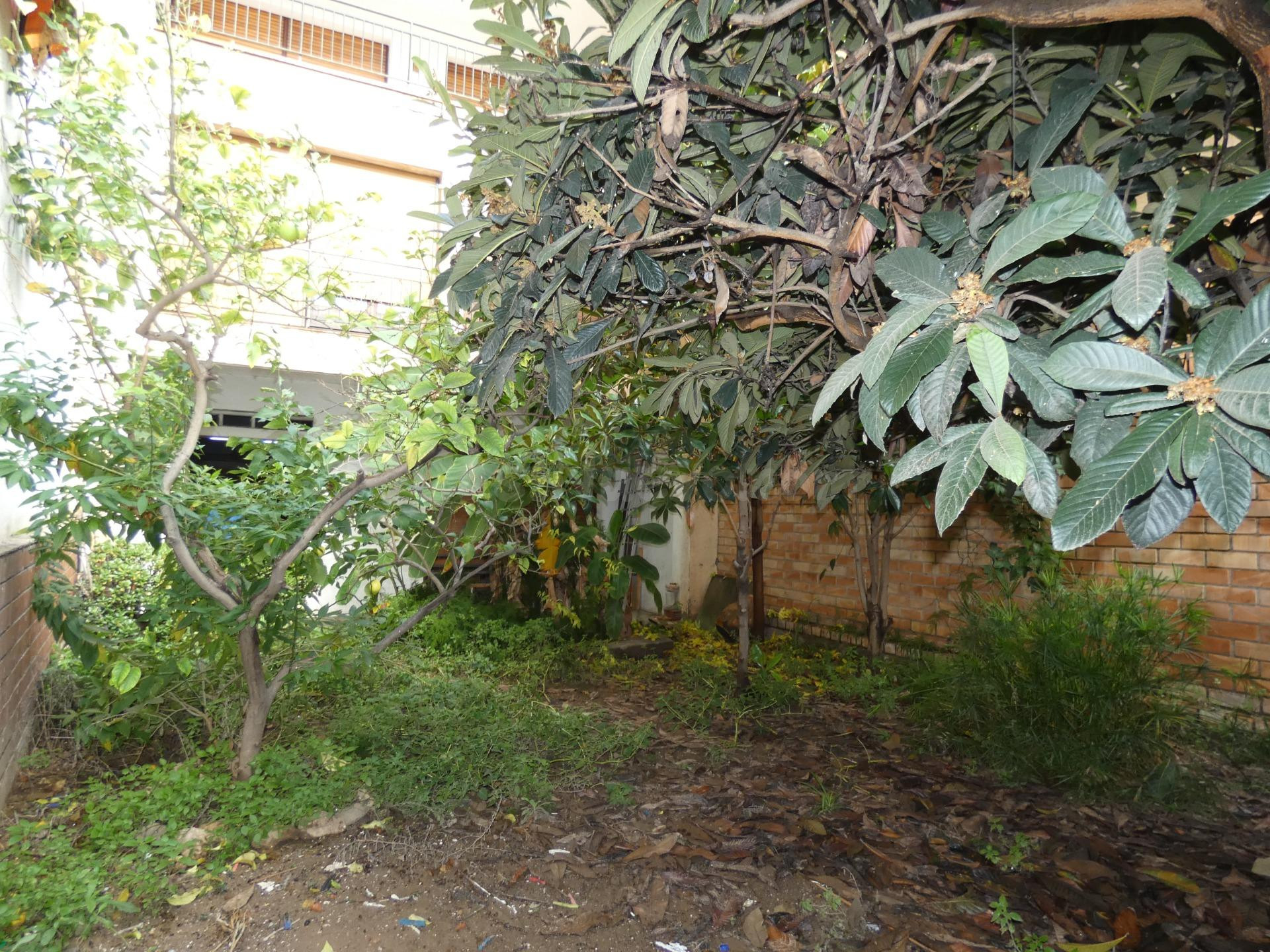 LOCAL CAMBIO DE USO A VIVIENDA. PLANTA BAJA CON TERRAZA - CO - foto 5