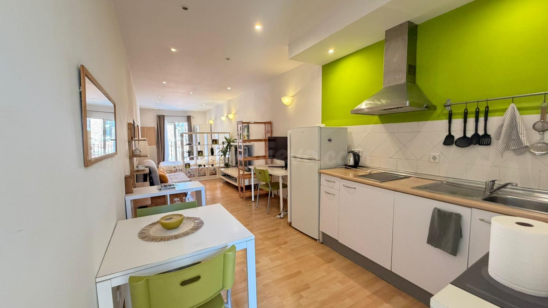 Loft 1 habitación 43m² en venta - Casc Antic