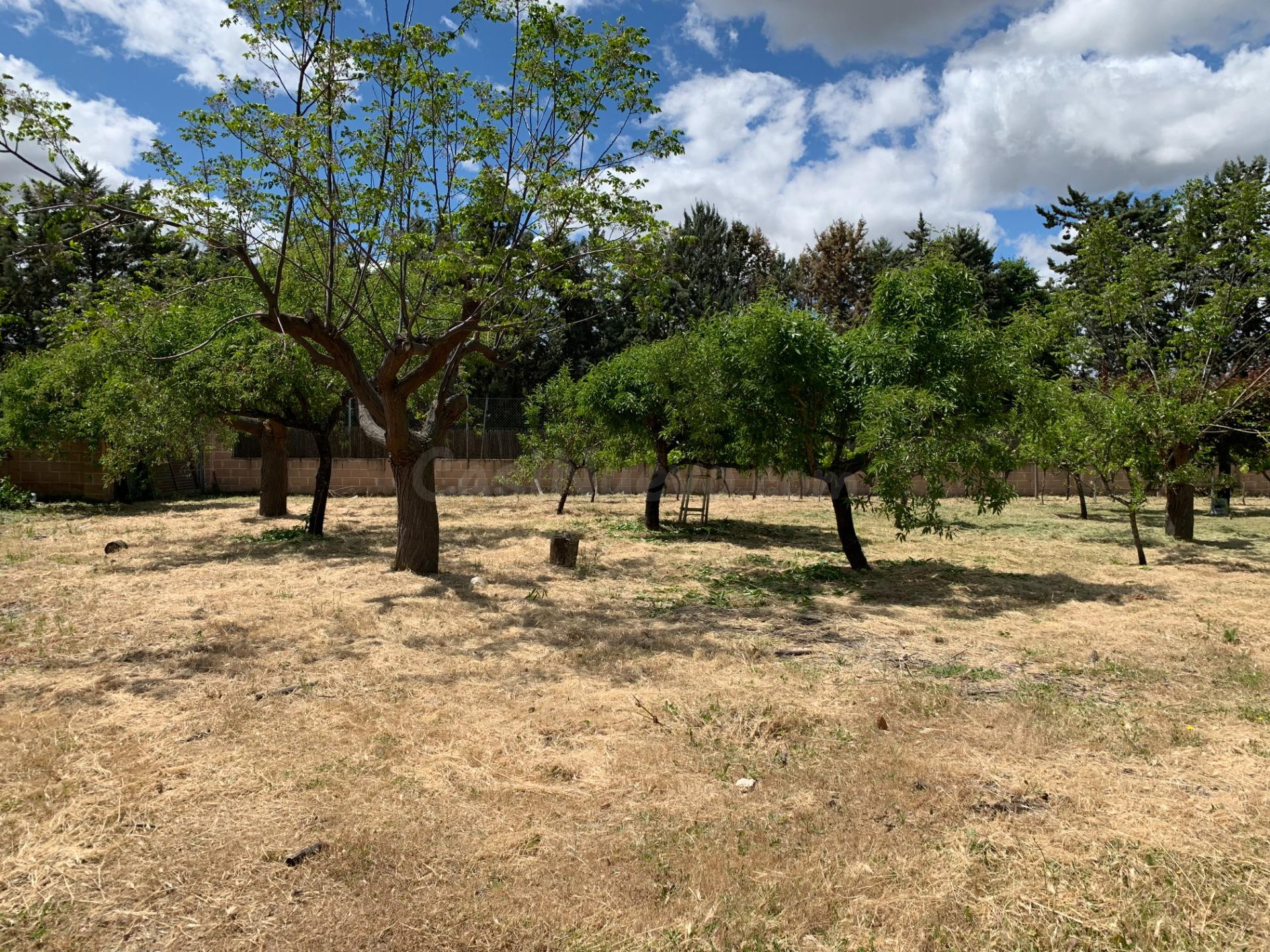 Parcela en venta - Soto del duque - foto 4