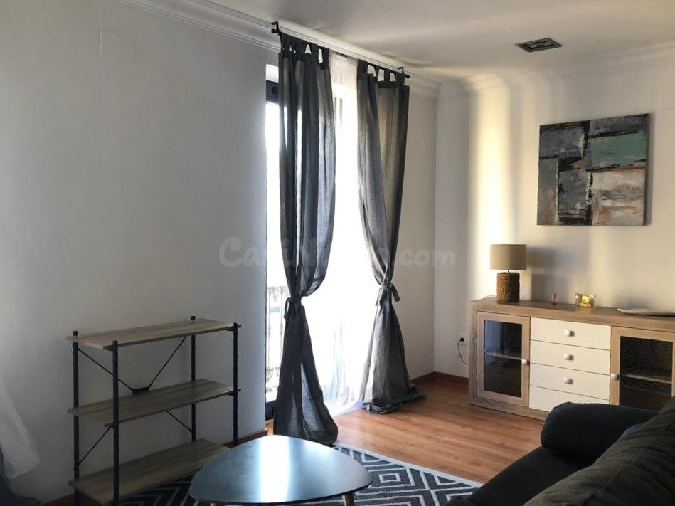 ALQUILER APARTAMENTO PLAZA ESPAÑA - foto 2