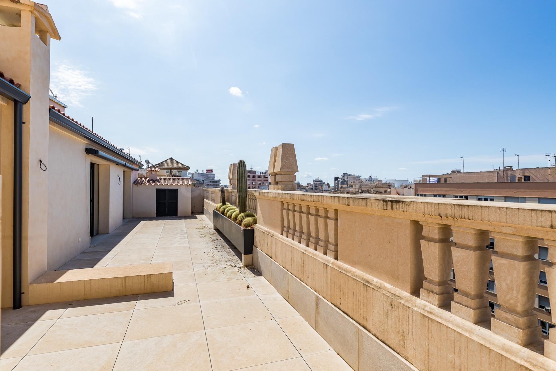 EDIFICO PALMA CENTRO CALIDADES PREMIUN DE 2500 M2  APROX  LO - foto 5