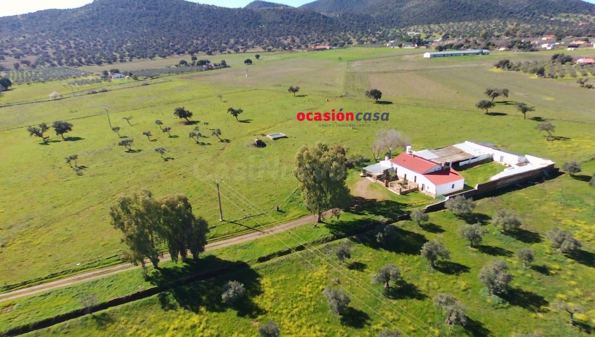 FINCA RÚSTICA DE 5 HA CON VIVIENDA