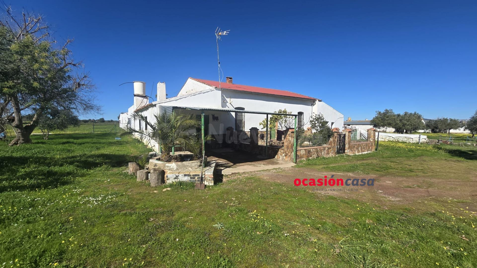 FINCA RÚSTICA DE 5 HA CON VIVIENDA - foto 2