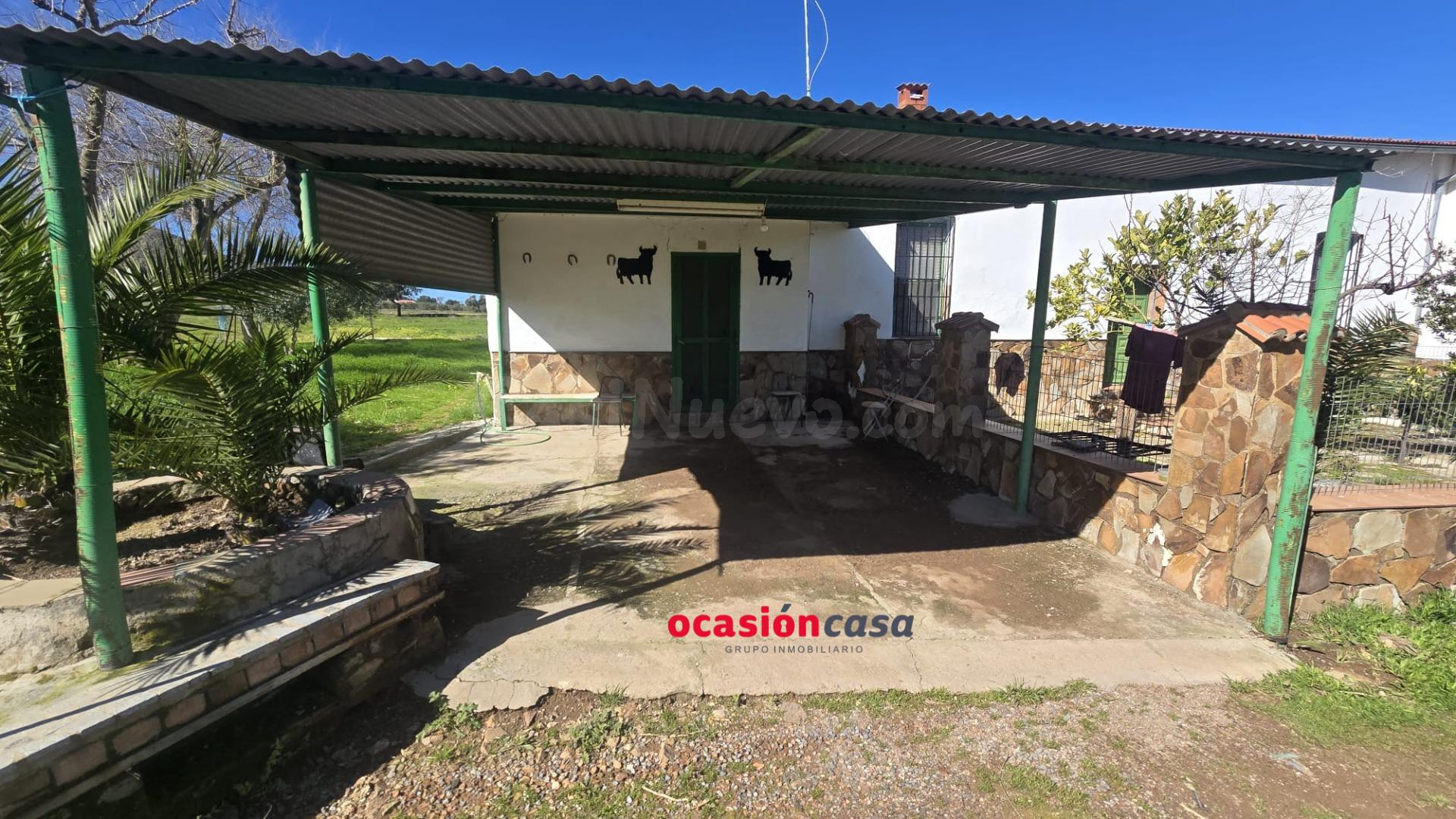 FINCA RÚSTICA DE 5 HA CON VIVIENDA - foto 5