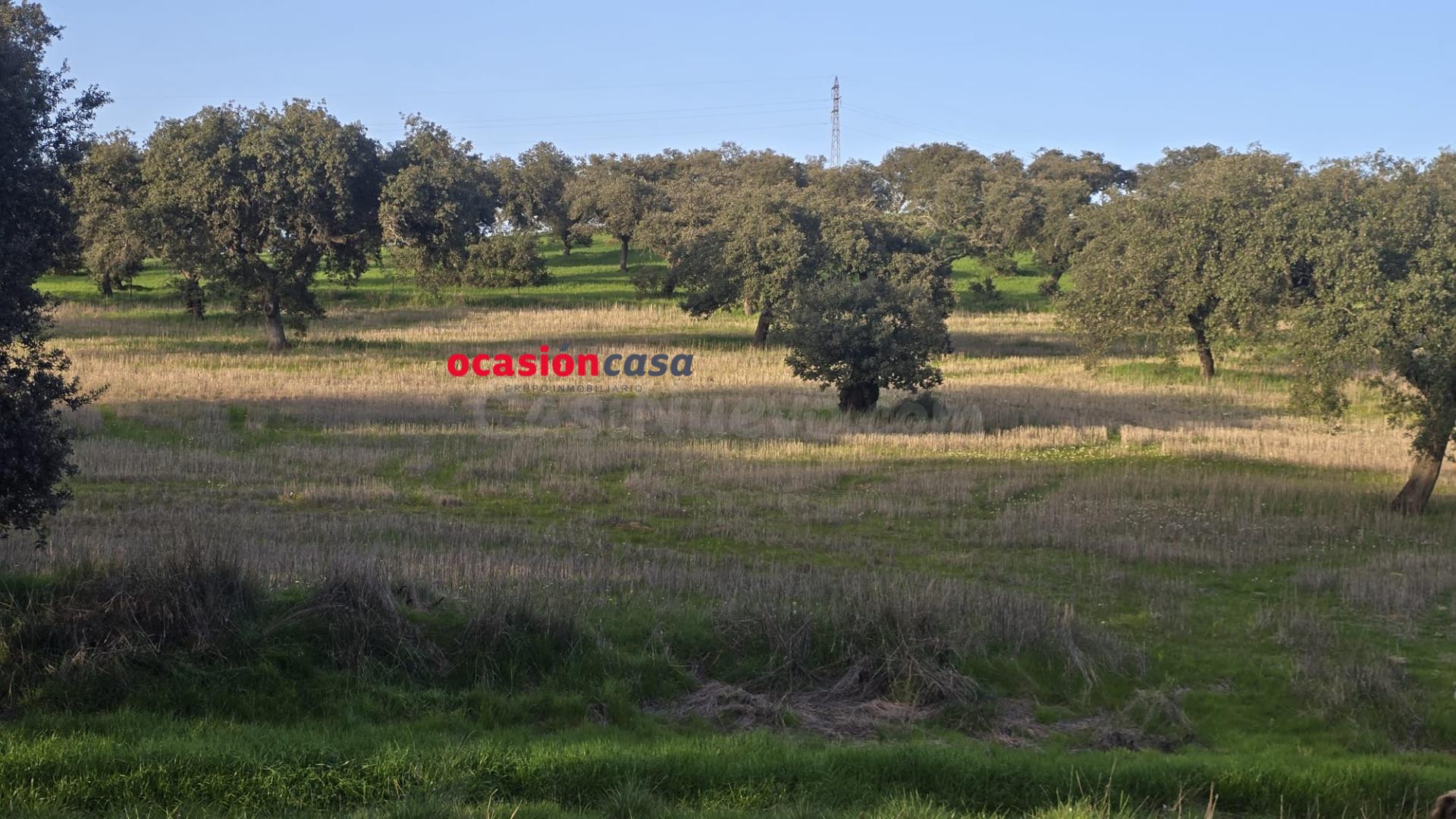 FINCA RÚSTICA DE 22 HA A LA VENTA