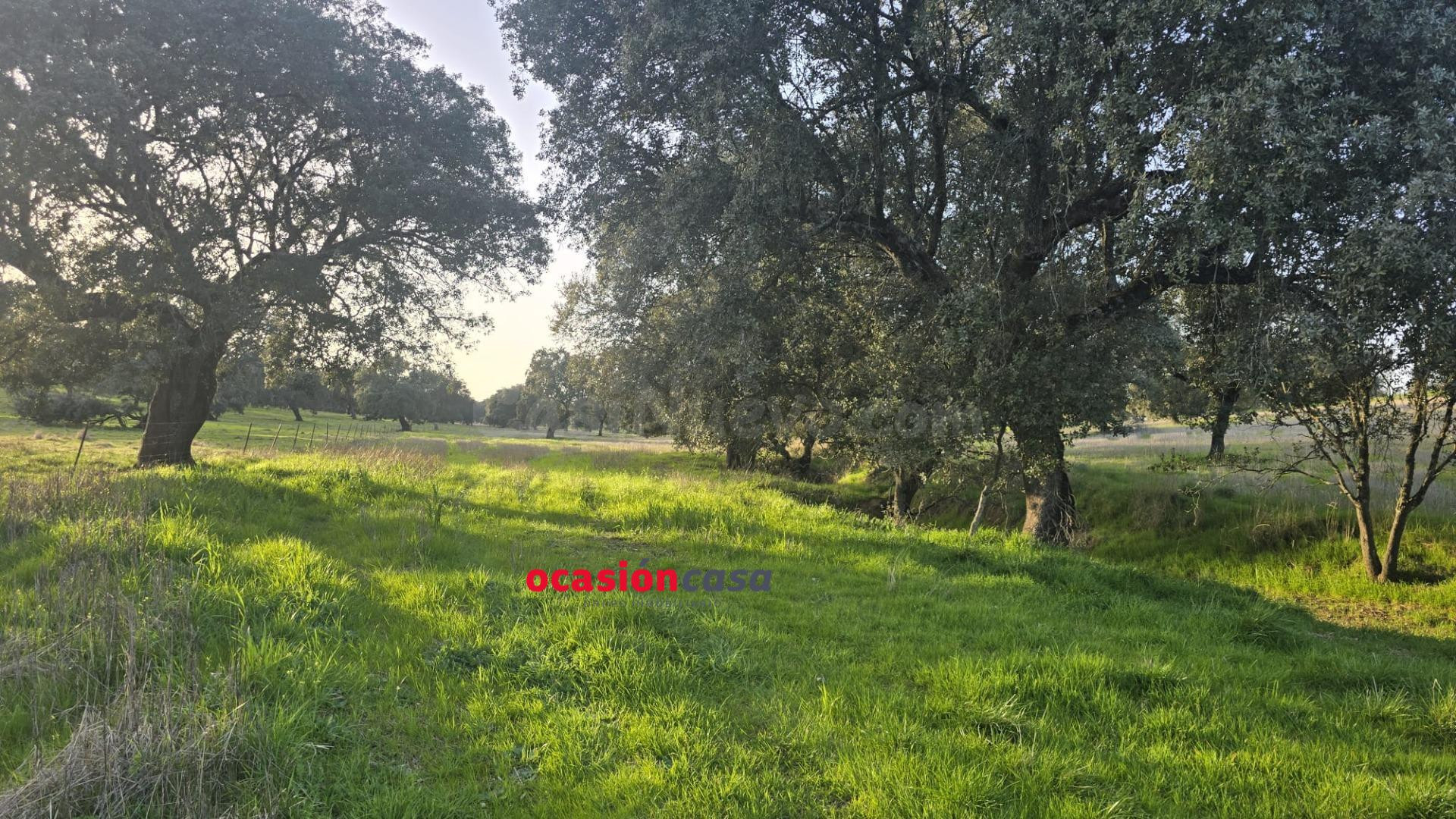 FINCA RÚSTICA DE 22 HA A LA VENTA - foto 2