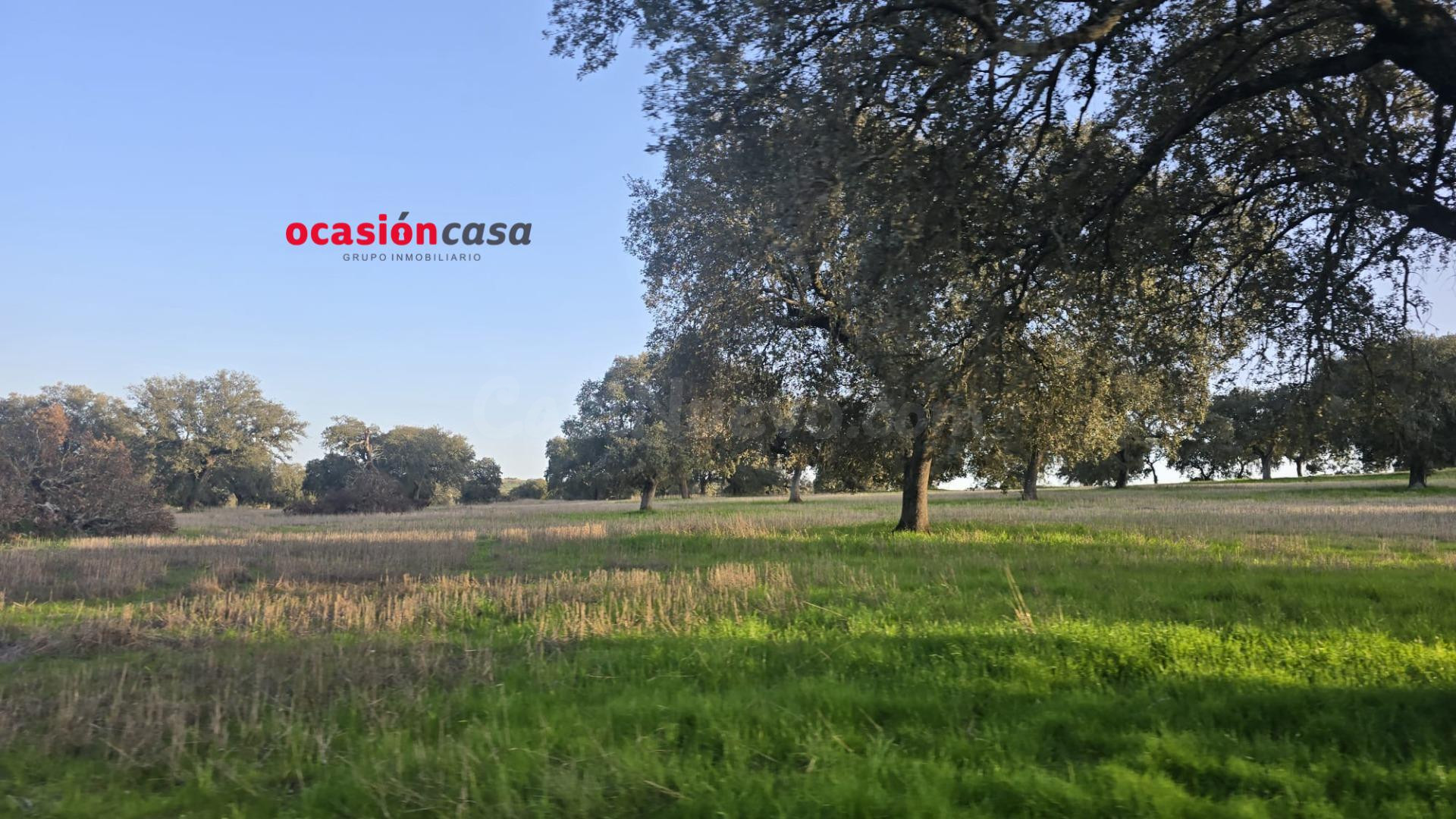FINCA RÚSTICA DE 22 HA A LA VENTA - foto 3