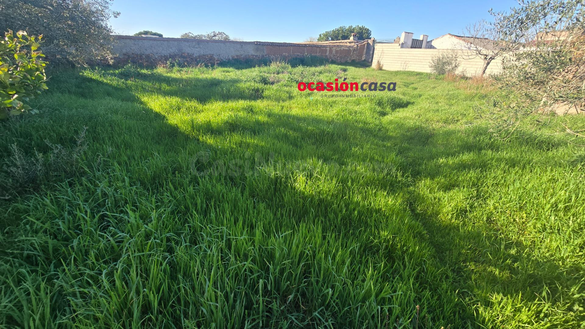 CASA CON COCHERA Y GRAN PATIO A LA VENTA - foto 3