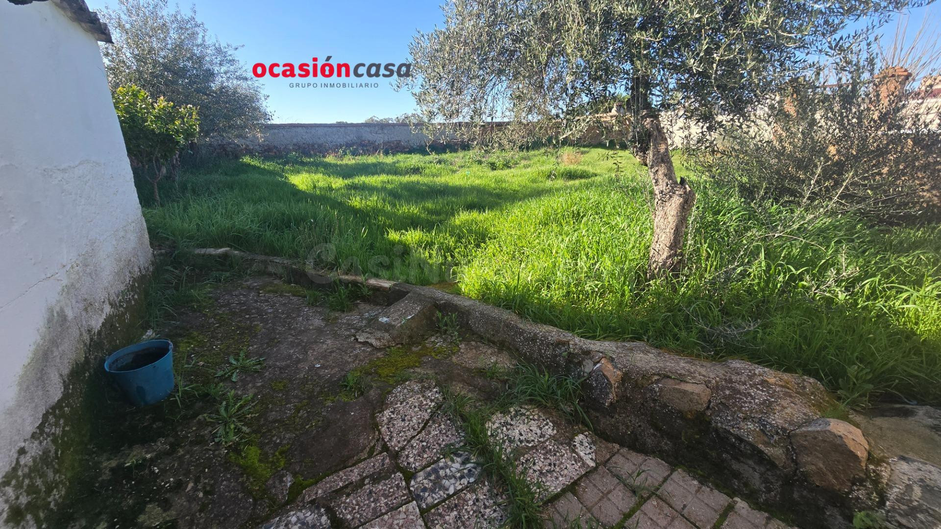 CASA CON COCHERA Y GRAN PATIO A LA VENTA - foto 4