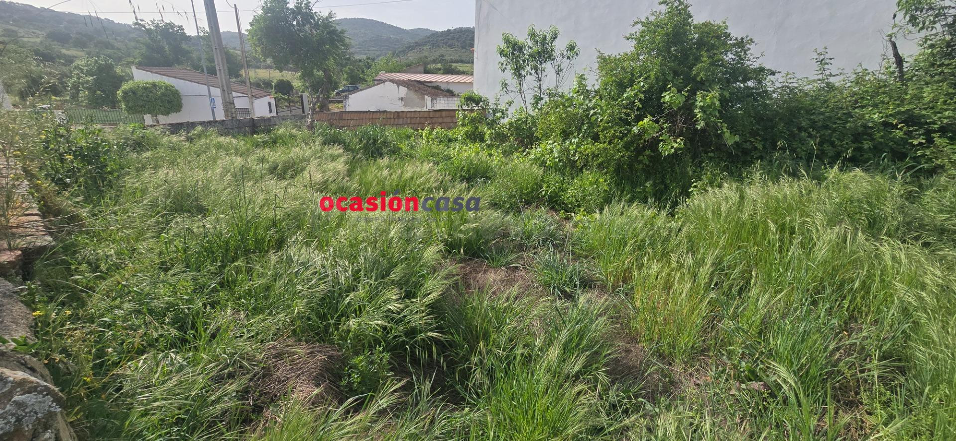 CASA CON GRAN PATIO Y COCHERA A LA VENTA - foto 4