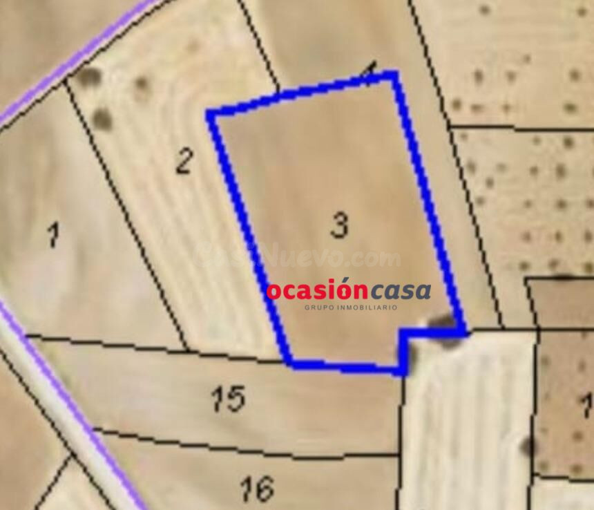 PARCELA DE SIEMBRA A LA VENTA EN VALSEQUILLO - foto 2