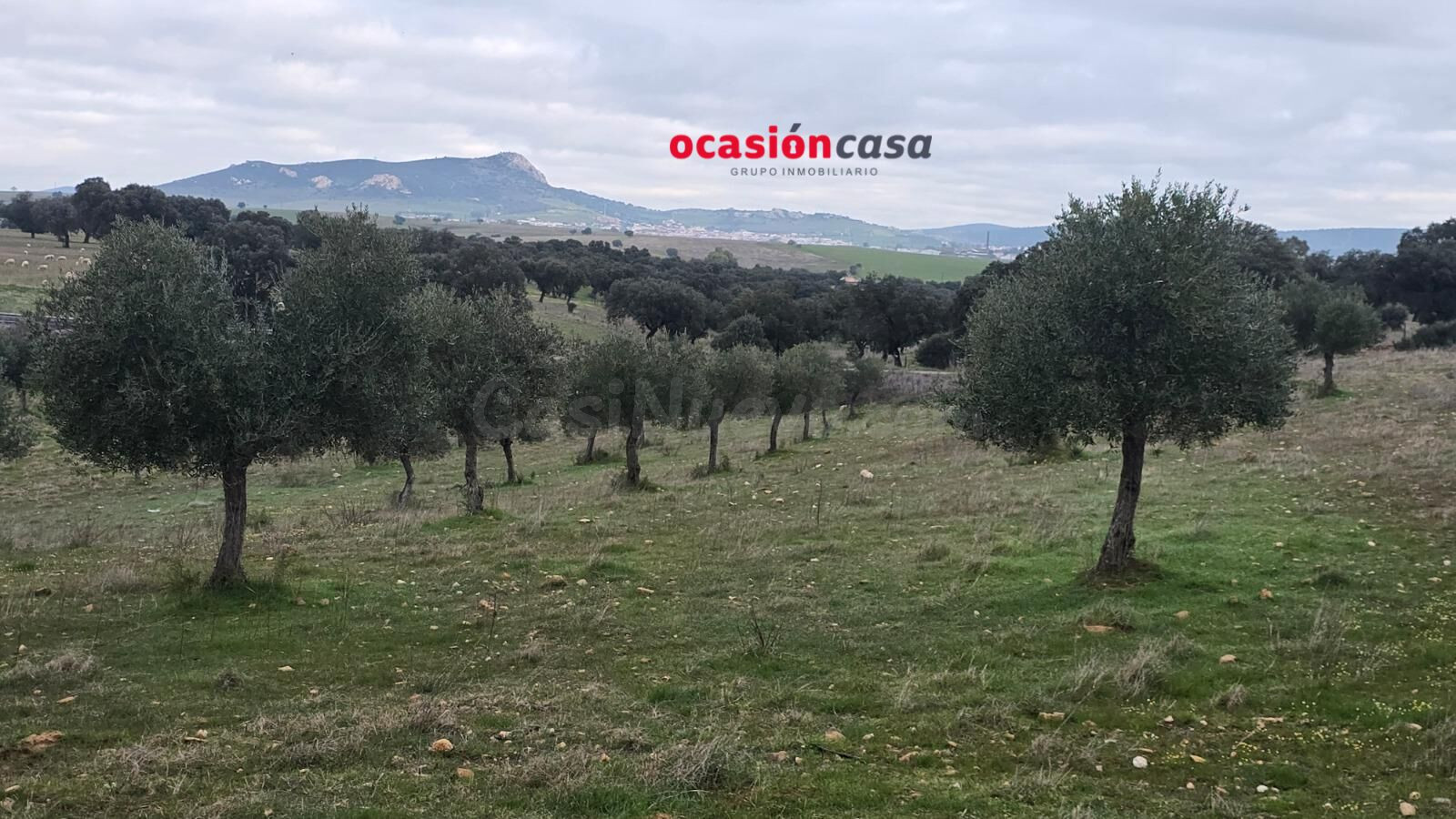 FINCA RÚSTICA CON NAVE A LA VENTA - foto 3