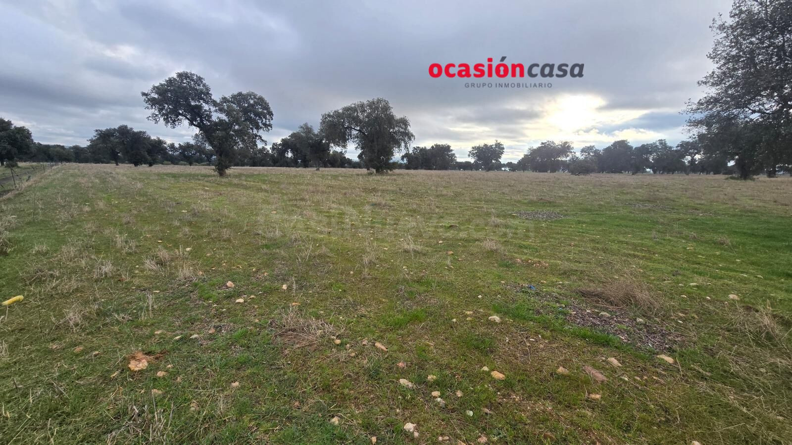 FINCA RÚSTICA CON NAVE A LA VENTA - foto 4