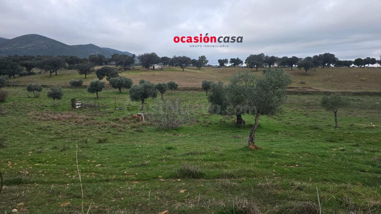 FINCA RÚSTICA CON NAVE A LA VENTA - foto 5