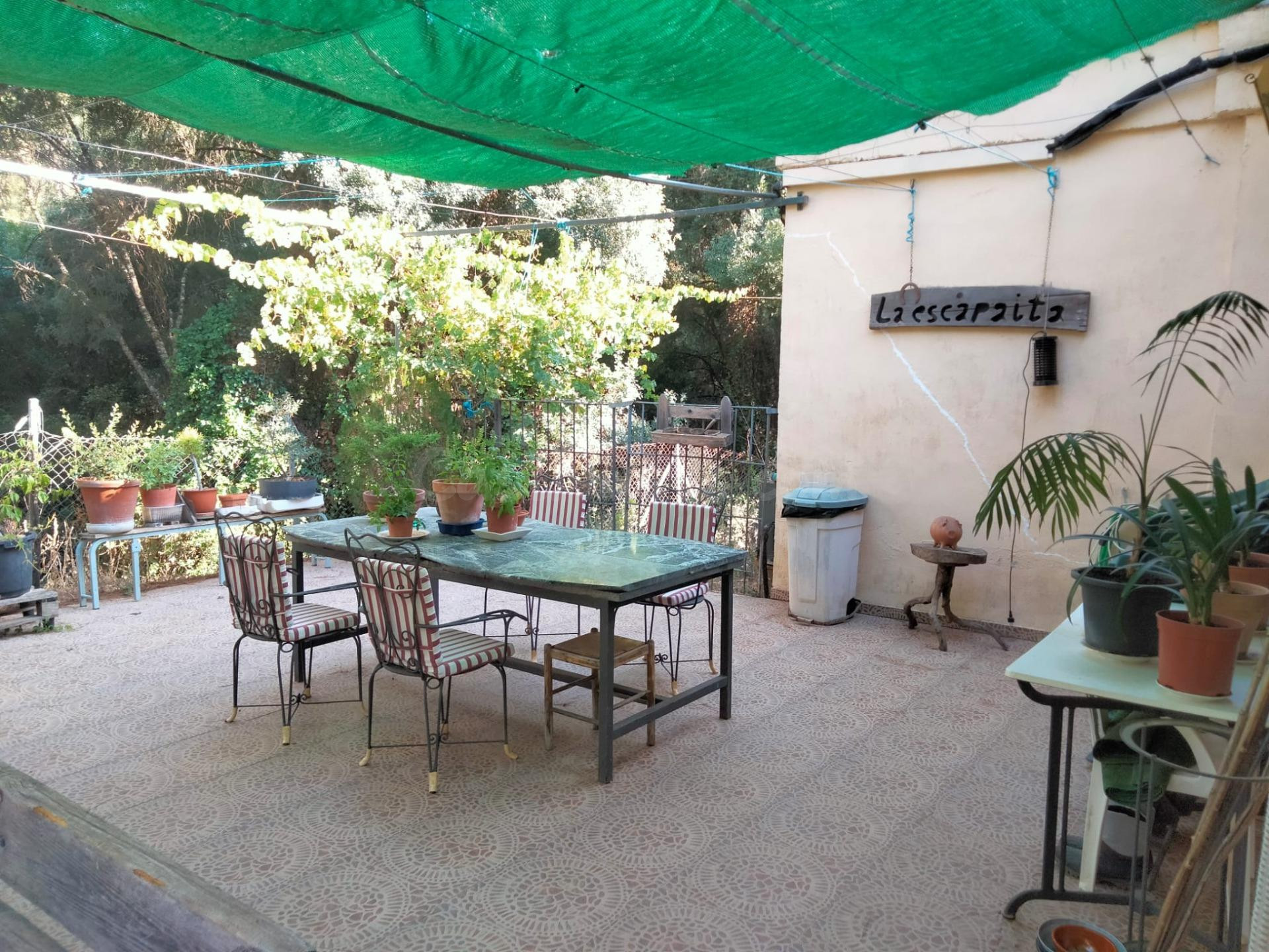 Casa con terreno en plena sierra, en la zona de 7 Fincas/Assuan | No Hipotecable - foto 4