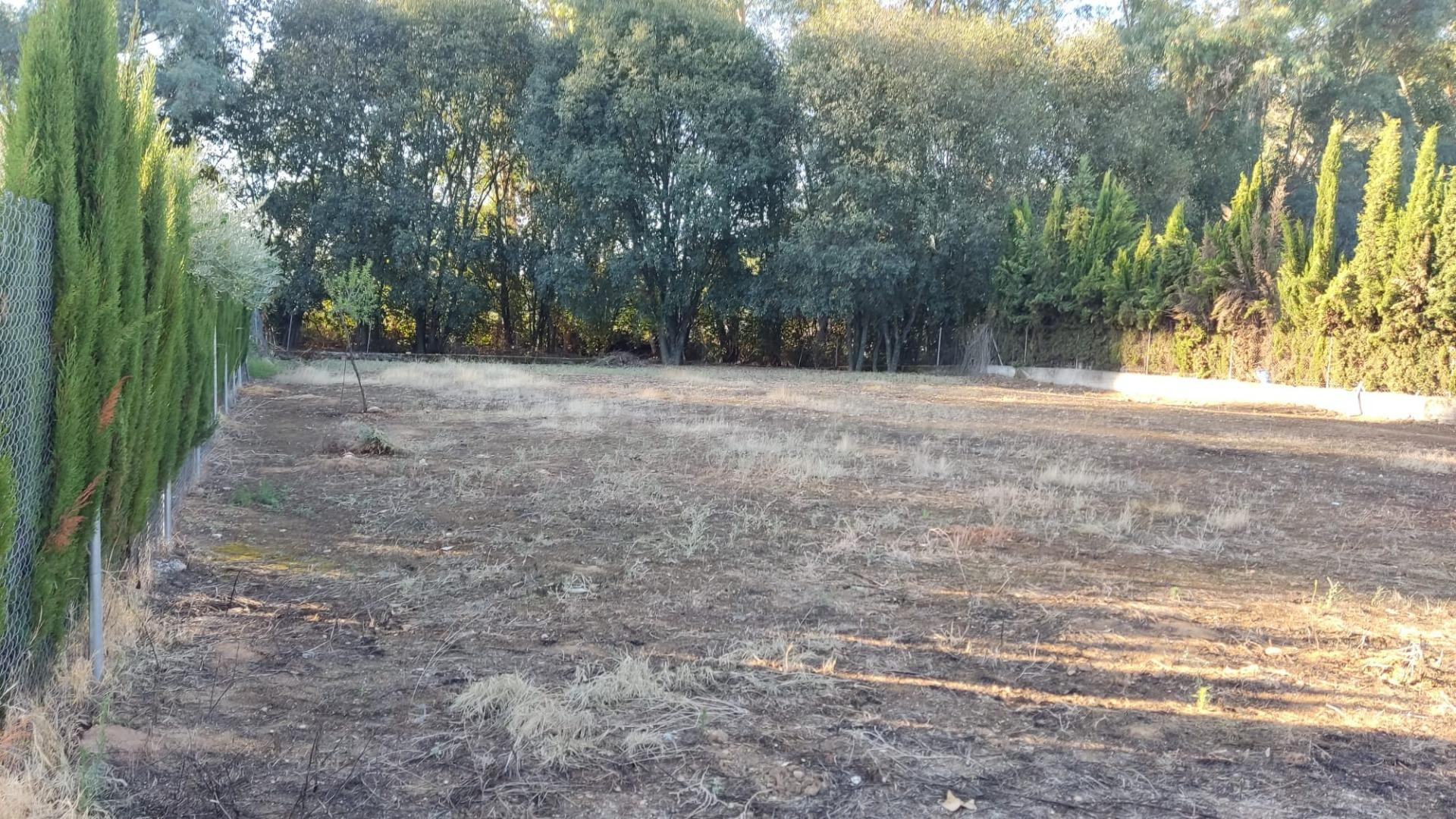 Terreno de de 1500 m2 en Urbanización el Páramo - foto 3