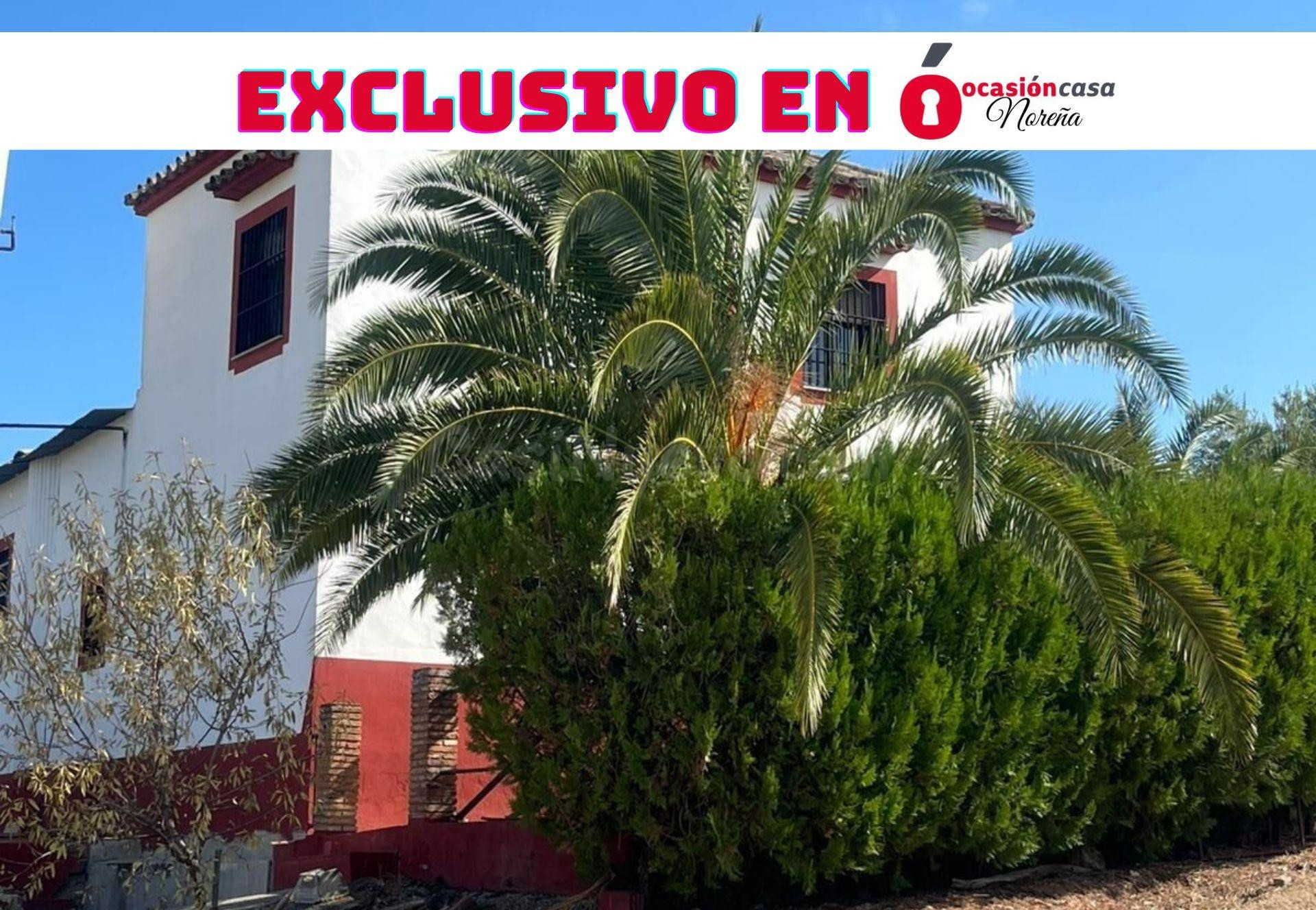 Finca de 7 Fanegas de olivar marteño en Espejo: Un Refugio R