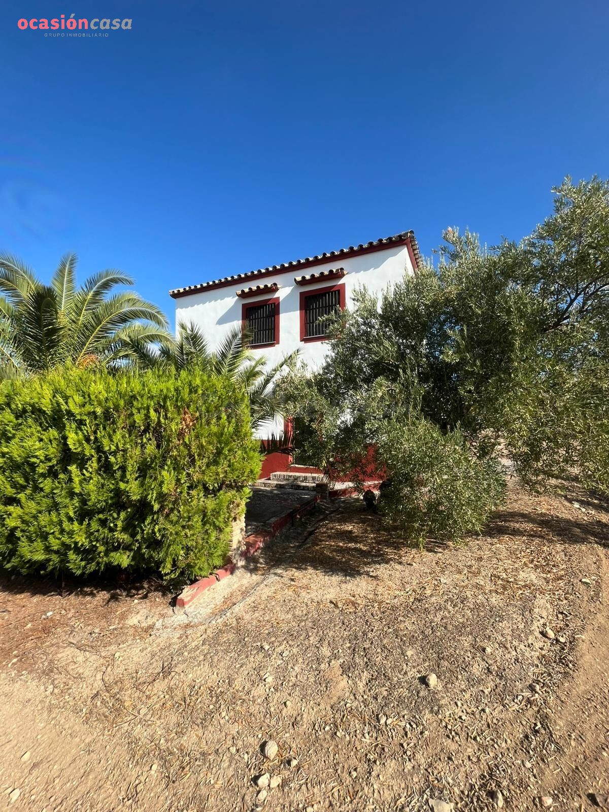 Finca de 7 Fanegas de olivar marteño en Espejo: Un Refugio R - foto 2