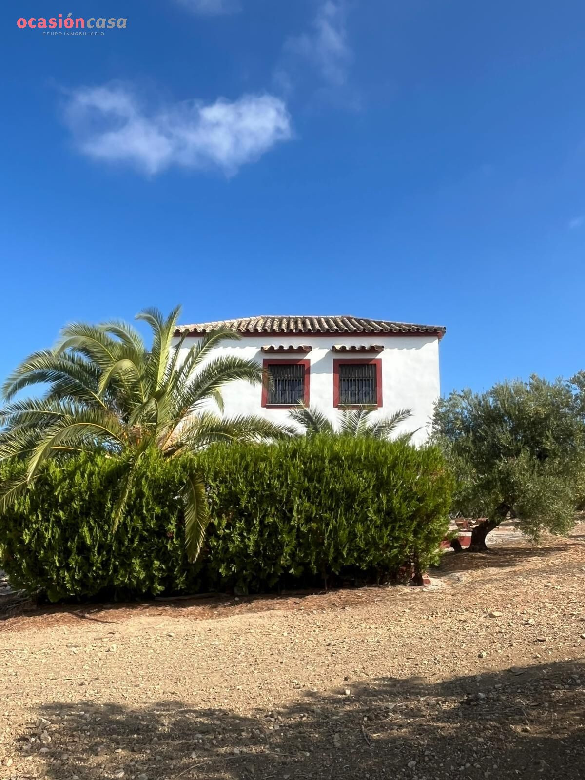 Finca de 7 Fanegas de olivar marteño en Espejo: Un Refugio R - foto 3
