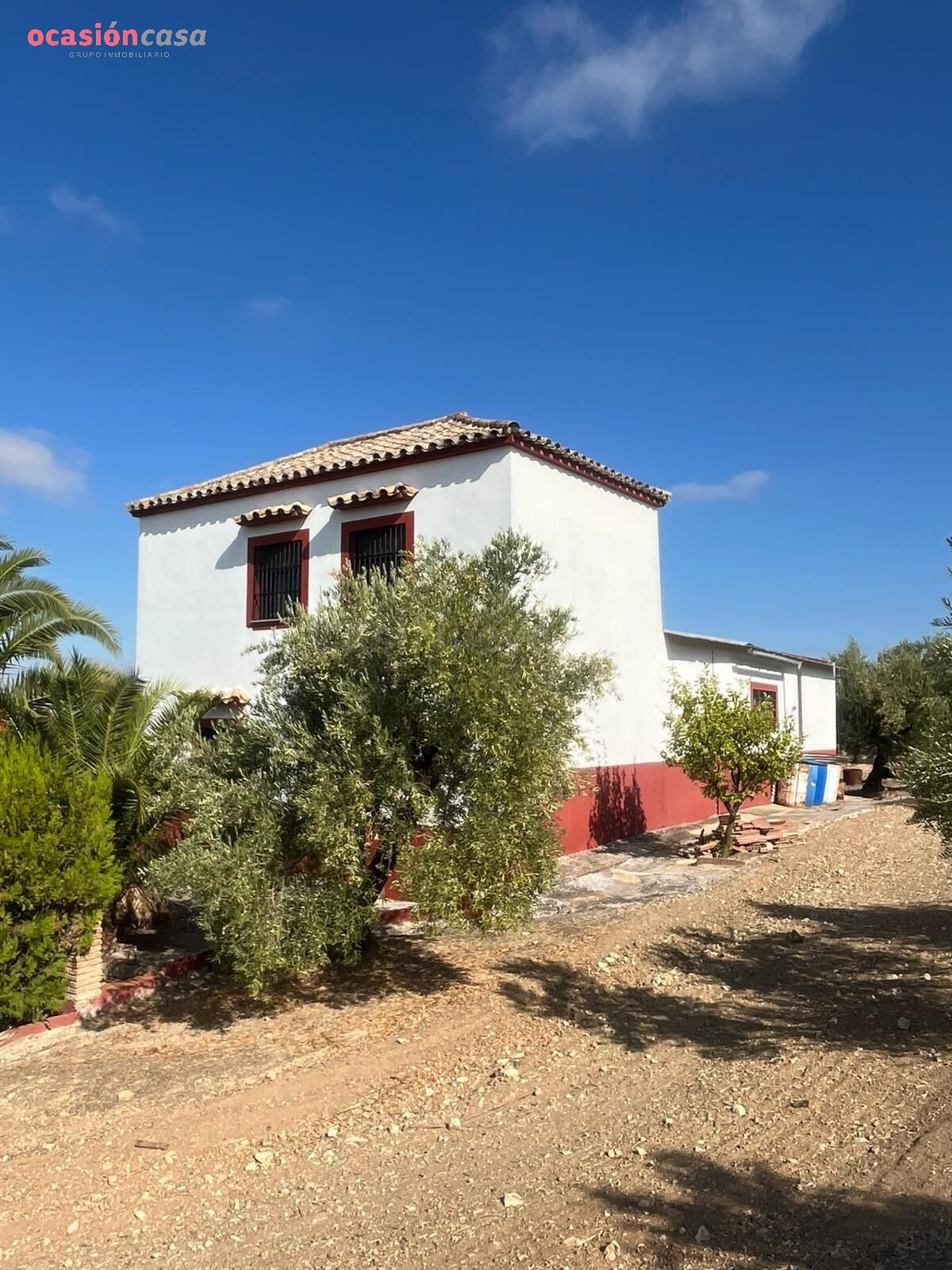 Finca de 7 Fanegas de olivar marteño en Espejo: Un Refugio R - foto 4
