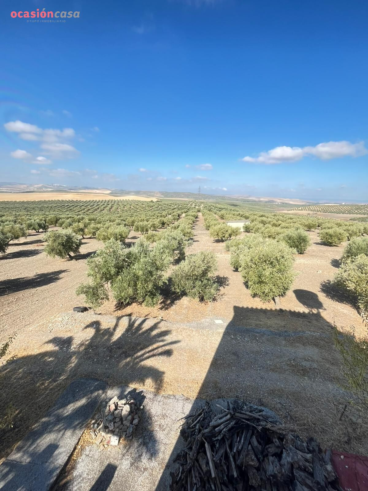 Finca de 7 Fanegas de olivar marteño en Espejo: Un Refugio R - foto 5