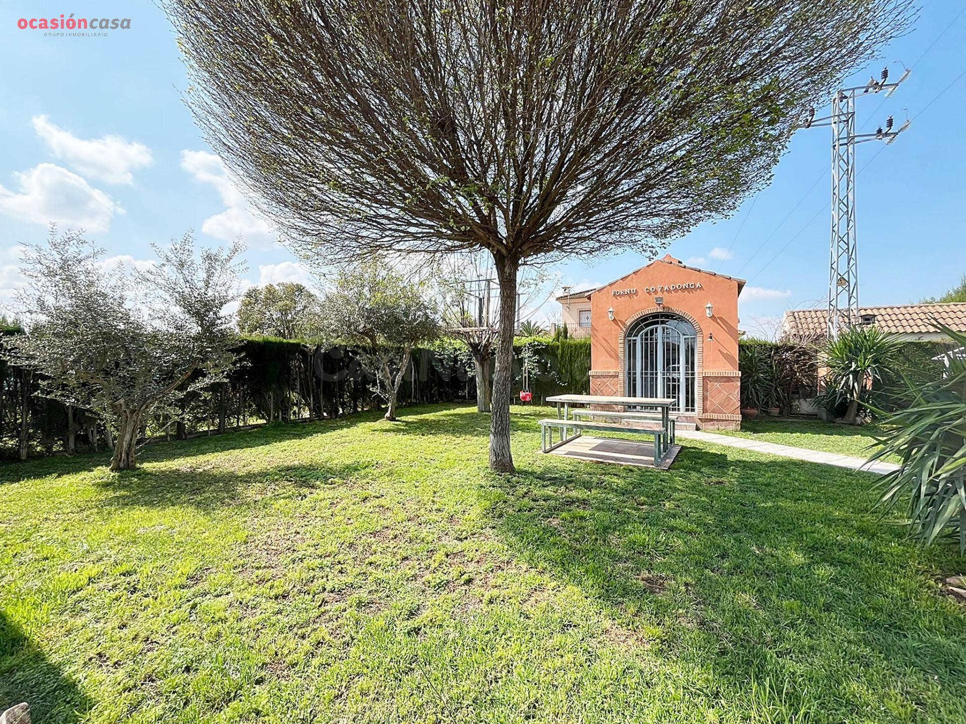 Precioso chalet a pocos minutos de Córdoba. - foto 4