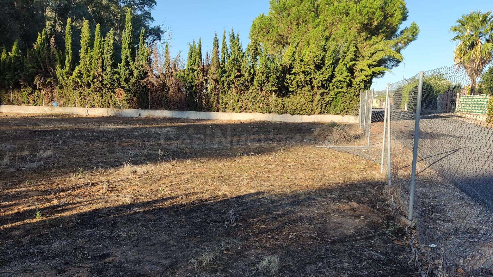 Parcela en venta - ALMODÓVAR DEL RÍO