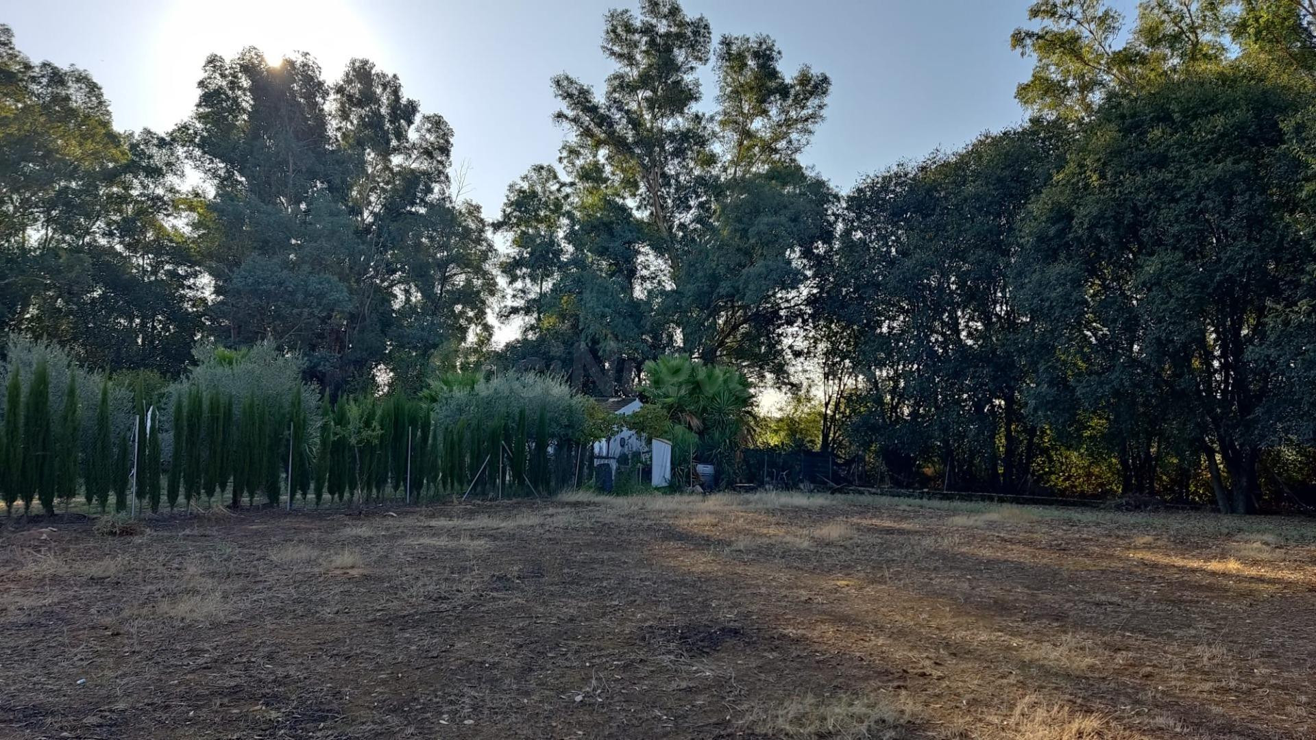 Parcela en venta - ALMODÓVAR DEL RÍO - foto 3