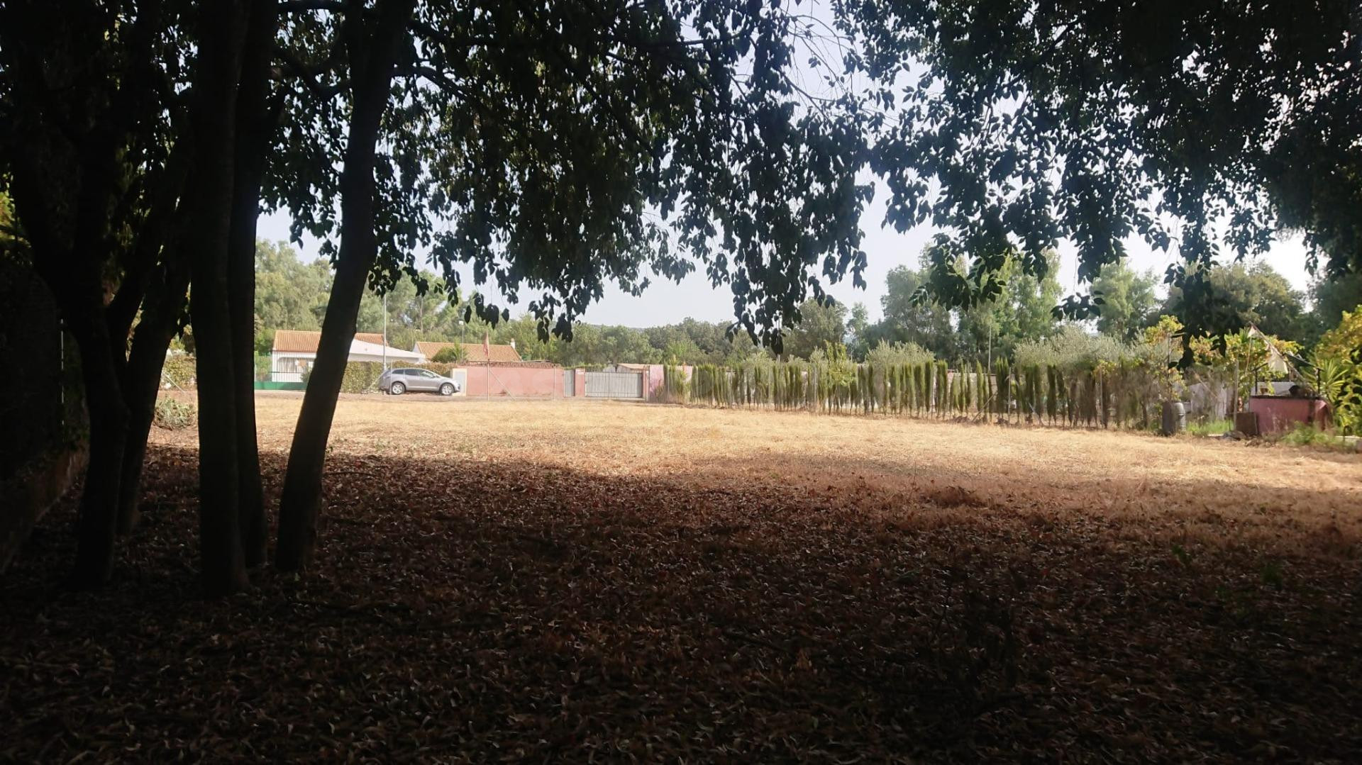 Parcela en venta - ALMODÓVAR DEL RÍO - foto 5