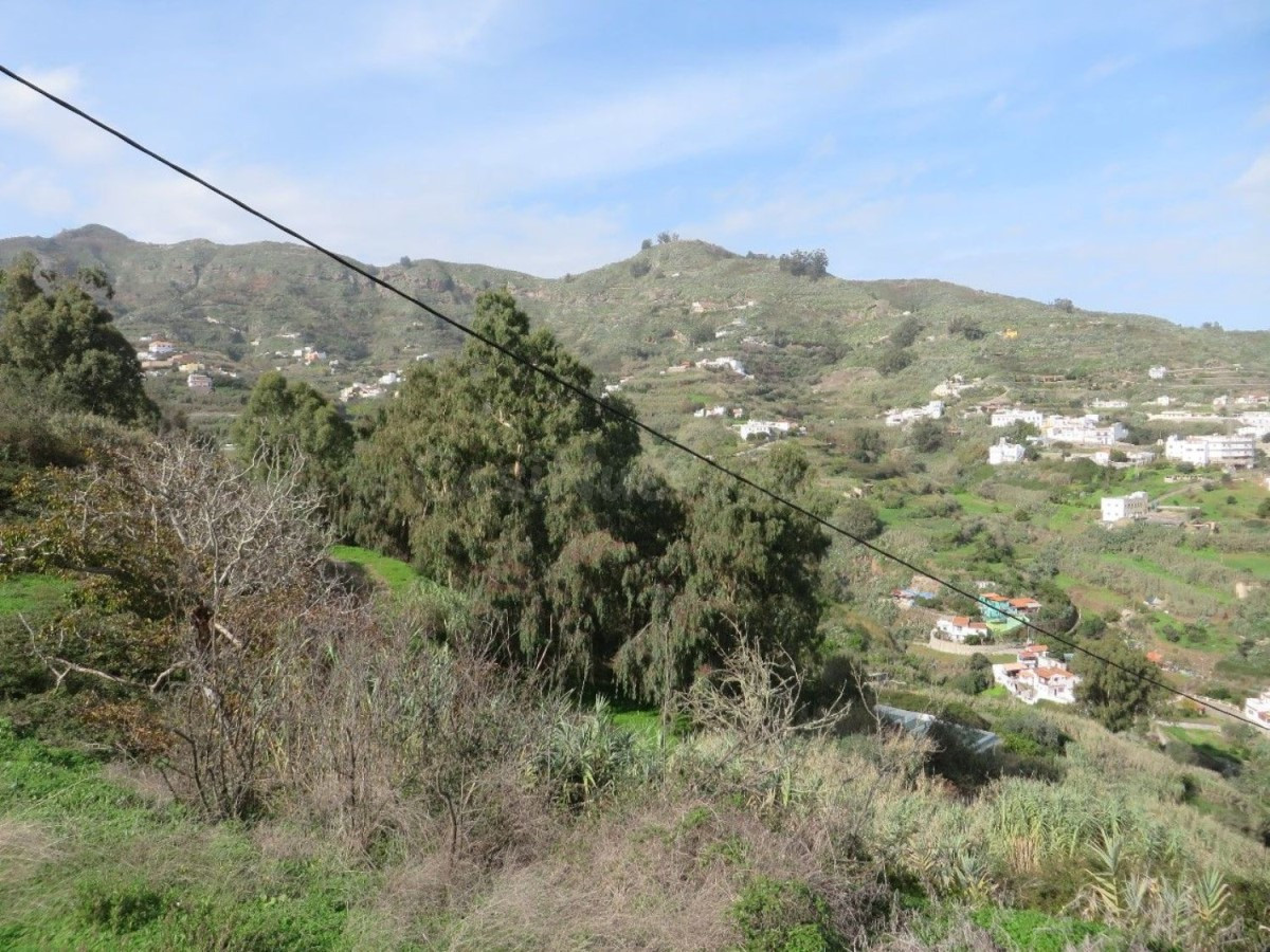 Terreno rural en venta - Teror - foto 2