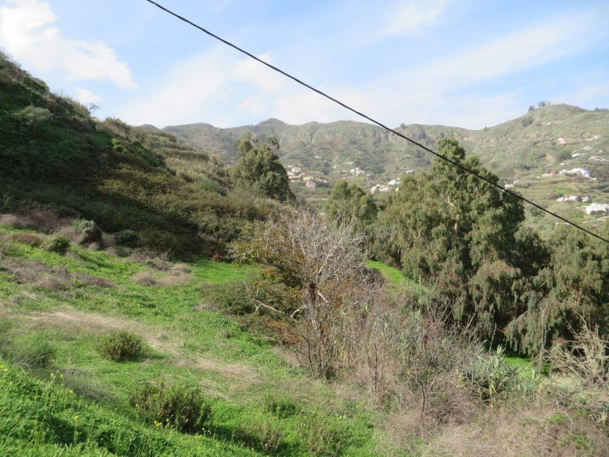 Terreno rural en venta - Teror - foto 3