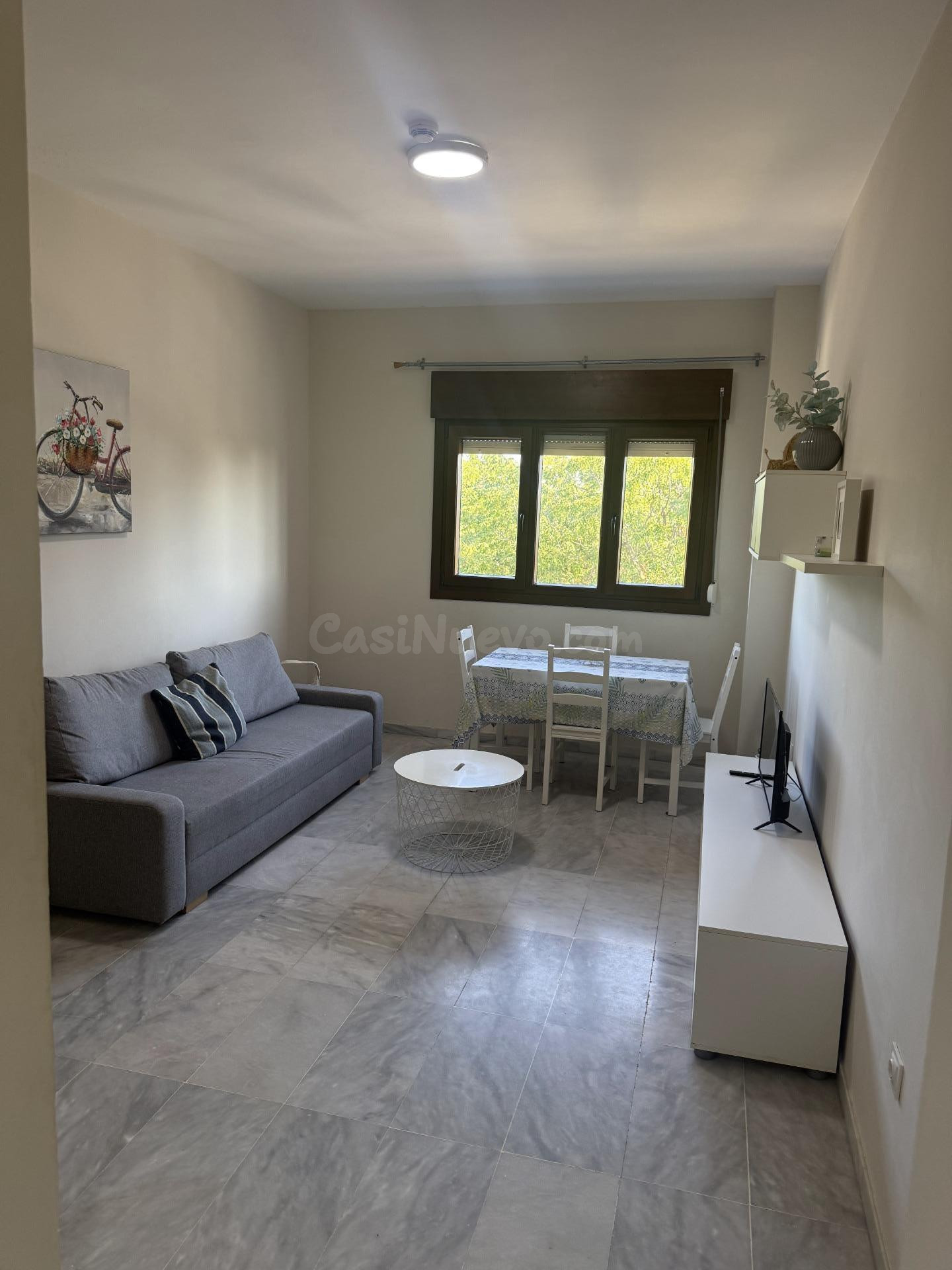 APARTAMENTO TURÍSTICO EN EDIFICIO LUXSEVILLA (BORMUJOS) - foto 5