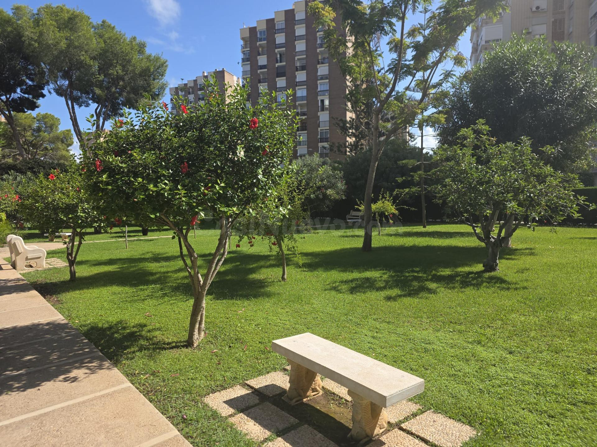 Bonito Apartamento en Campoamor - foto 3