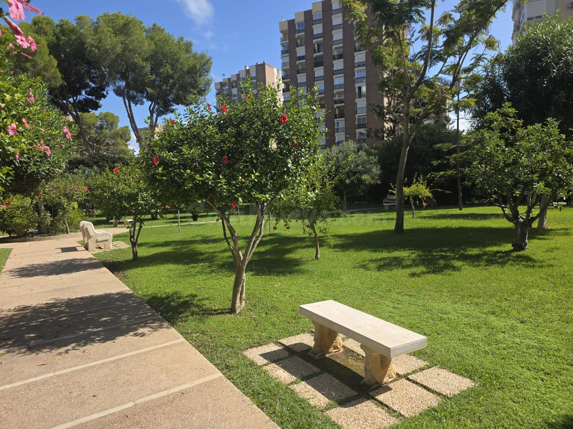 Bonito Apartamento en Campoamor - foto 4