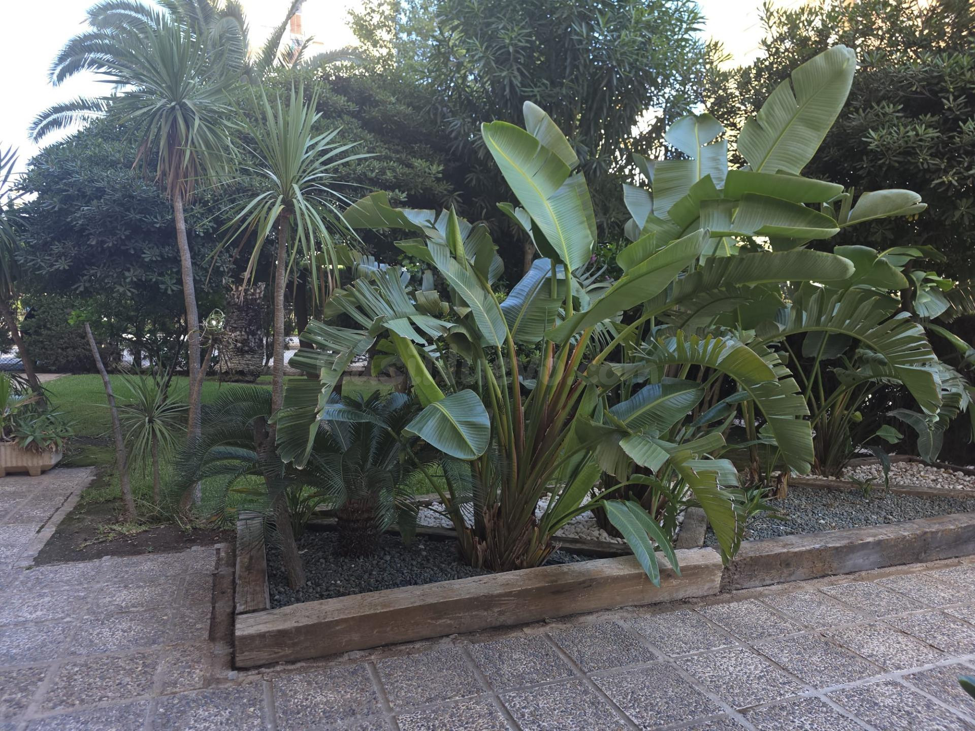 Bonito Apartamento en Campoamor - foto 5
