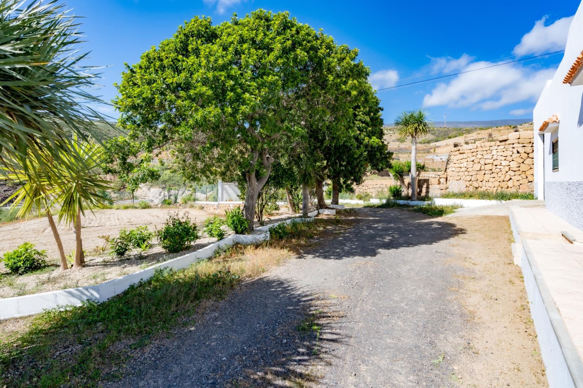 Inversión exclusiva en el Sur de Tenerife con extraordinario - foto 2