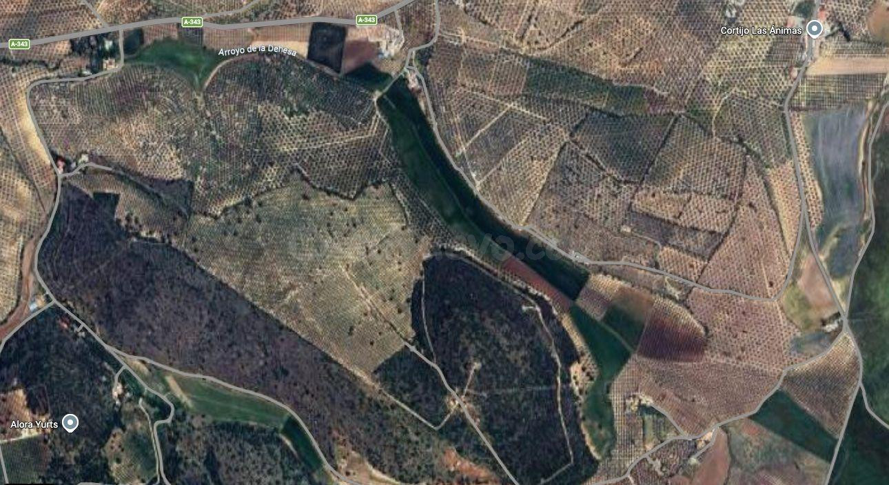 Finca rústica a la venta en Antequera - foto 3