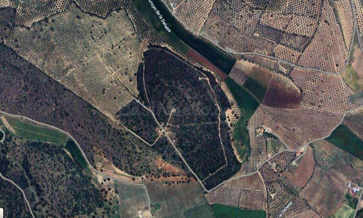Finca rústica a la venta en Antequera - foto 5