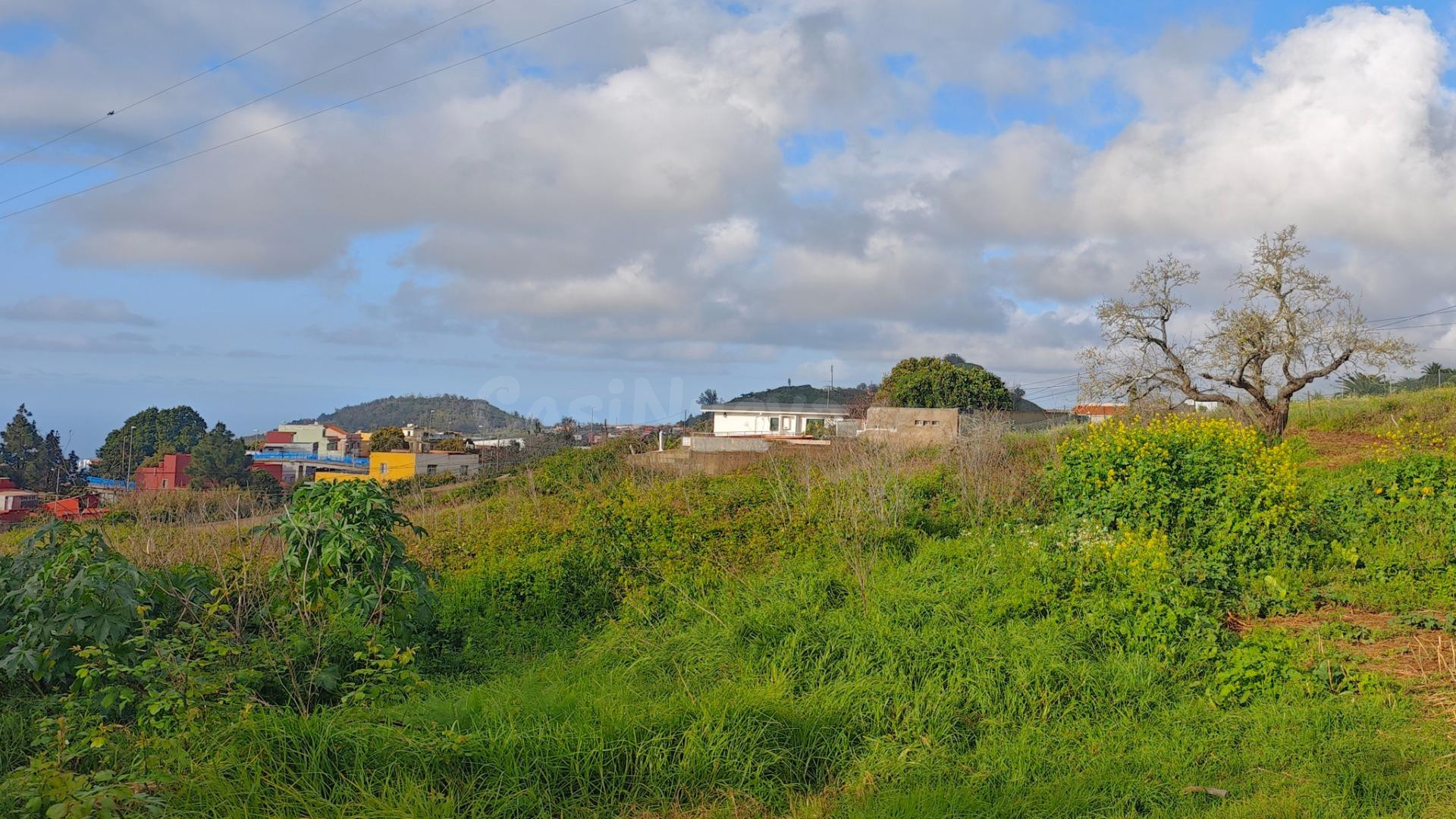 TERRENO URBANIZABLE EN AGUA GARCIA (TACORONTE) - foto 4